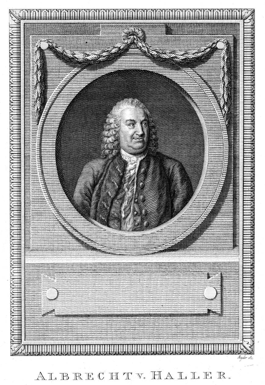 Albrecht von Haller, İsviçreli doktor ve bilim adamı, c1770 c1780 by Unbekannt