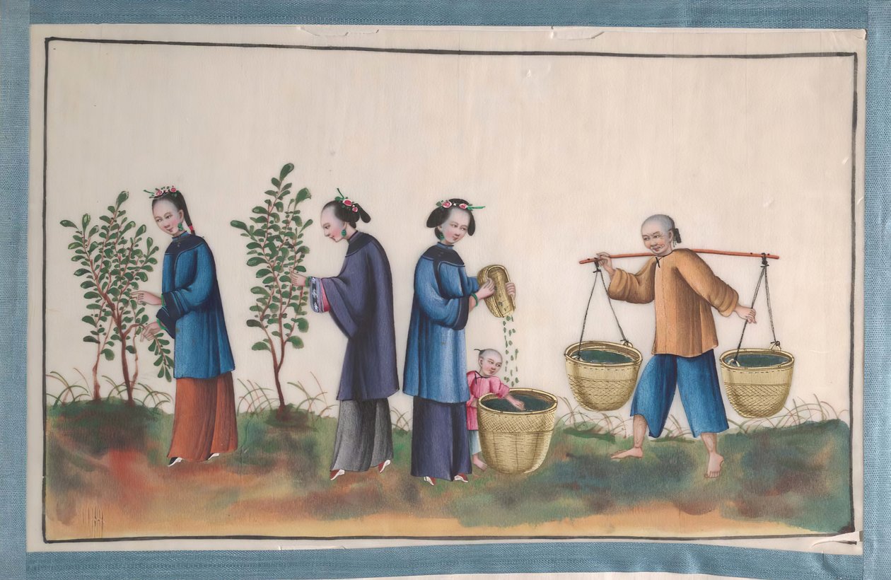 İpek Yapan İnsanların On İki Resmini İçeren Albüm, 19. yüzyıl. by Unbekannt