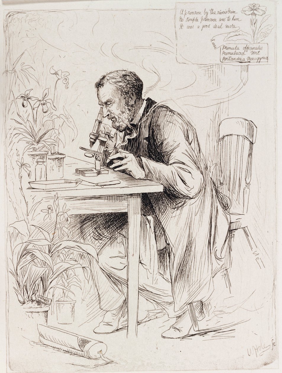 Alexander Dickson, botanikçi by Unbekannt