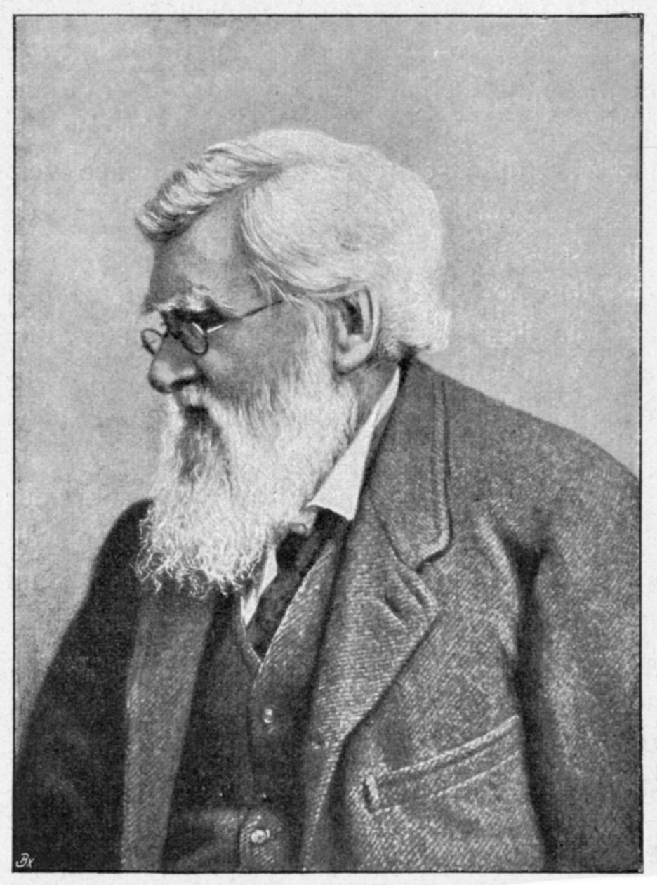 Alfred Russell Wallace, Galli doğa bilimci, c1895 by Unbekannt
