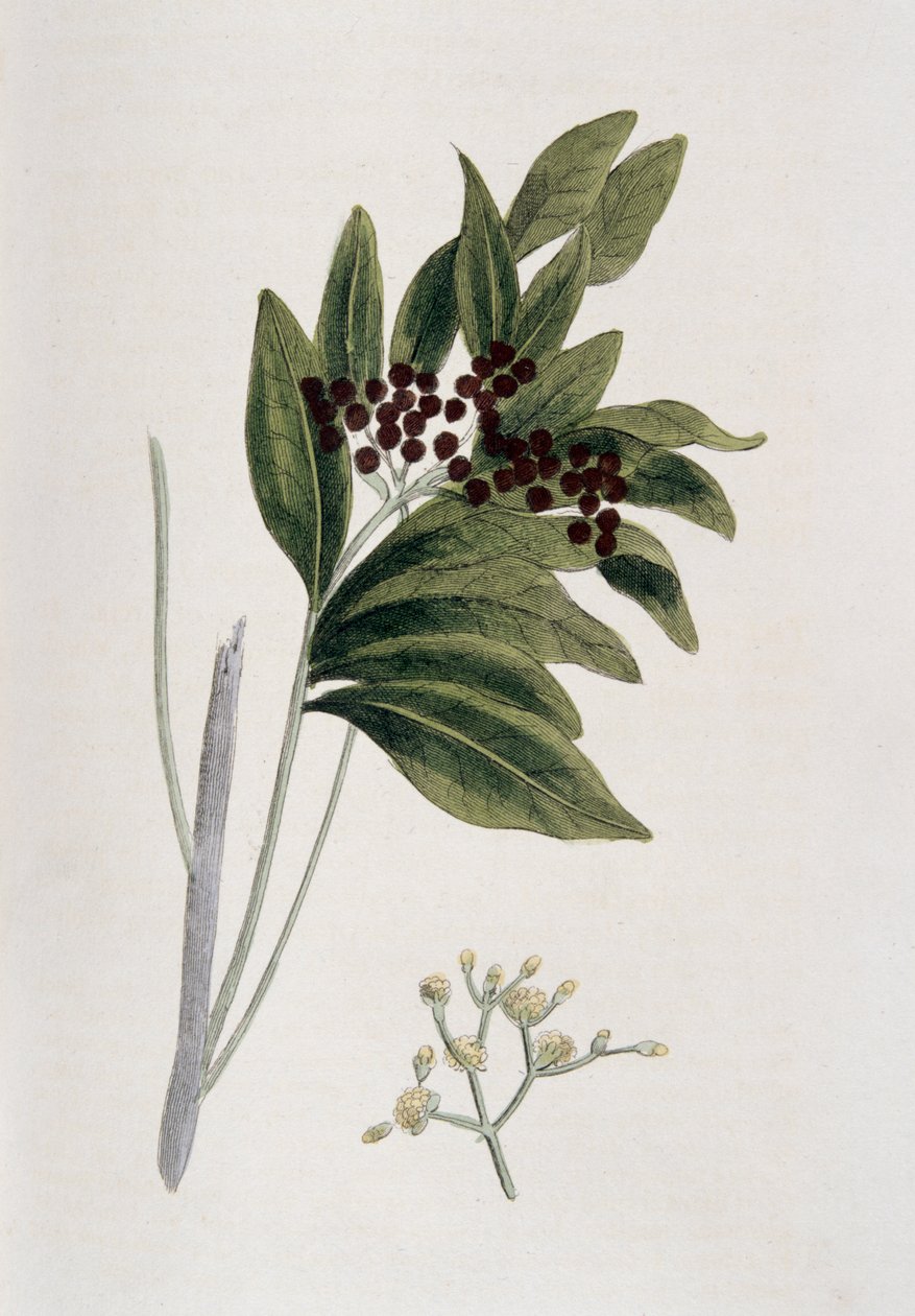 Yenibahar, 1823 by Unbekannt