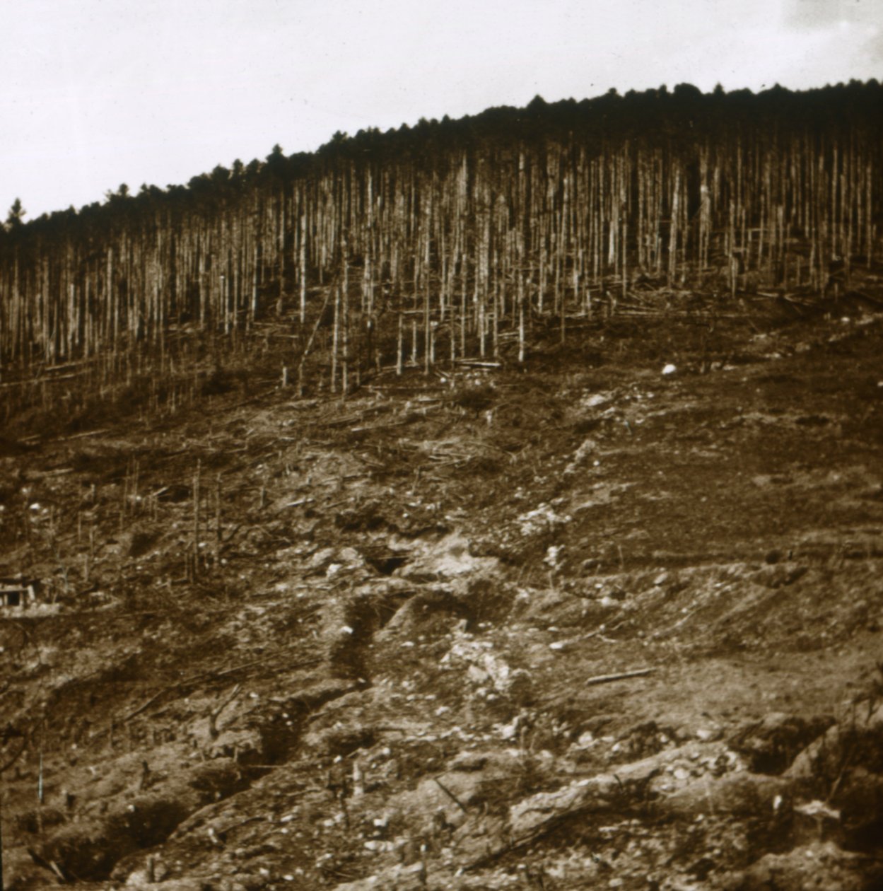 Alsace, c1914-c1918 by Unbekannt