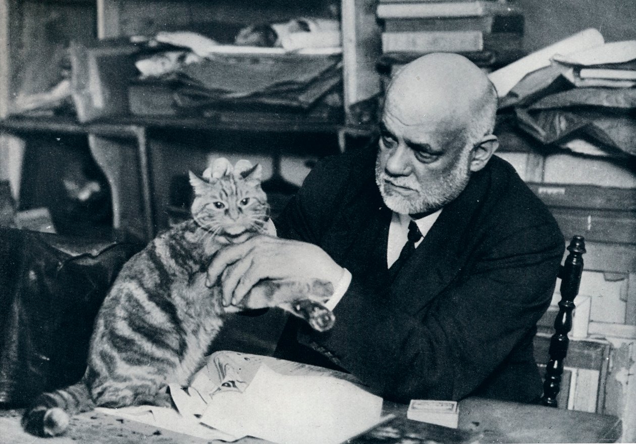 Ambroise Vollard, Fransız sanat simsarı, 1934 by Unbekannt