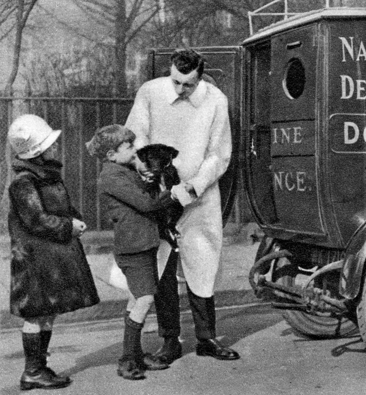 Ulusal Köpek Savunma Birliği Ambulansı, Londra, 1926-1927 by Unbekannt