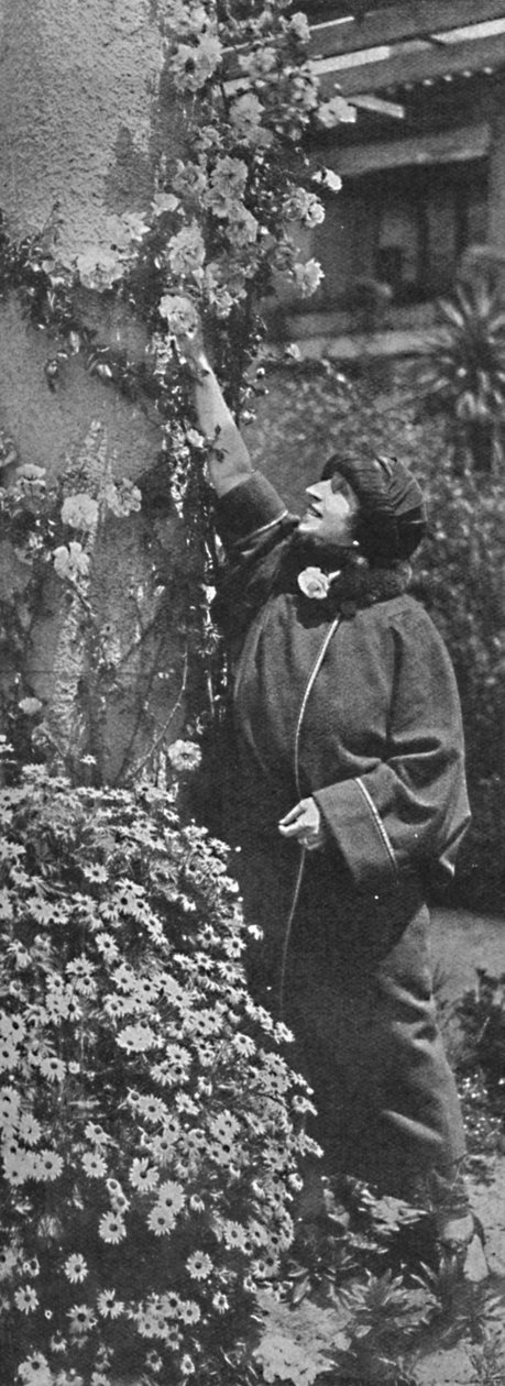 Amelita Galli-Curci - Gül toplayan büyük diva, en sevdiği çiçekler, c1925 by Unbekannt