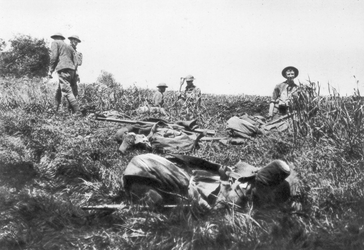 Amerikan deniz piyadeleri siper kazıyor, Lucy-le-Bocage, Fransa, 1 Haziran 1918 by Unbekannt