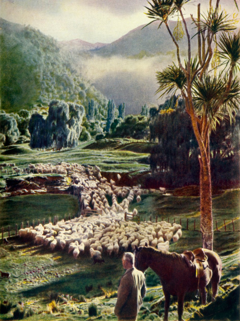 Yeni Zelanda Koyun Çiftliklerinin Güzellikleri Arasında, c1948. by Unbekannt