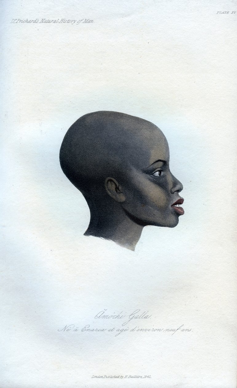 Amochi Galla, bir Galla portresi, 1848 by Unbekannt