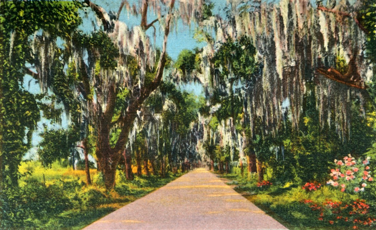 Carolinas