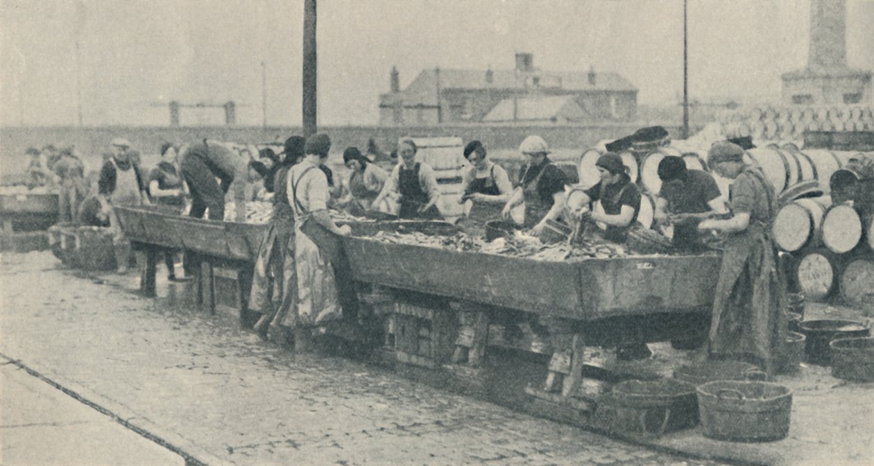 Sektörün Önemli Bir Parçası. İskoç kızlar Yarmouth