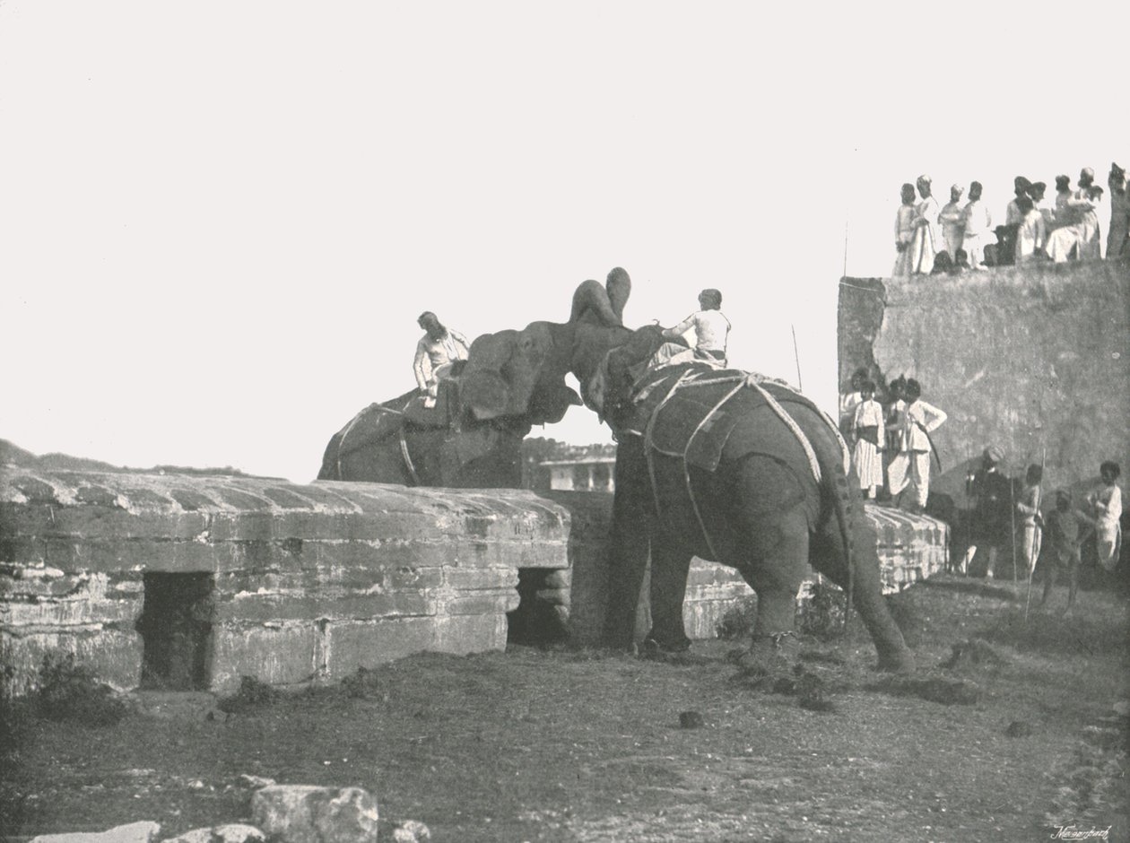 Bir fil dövüşü, Haydarabad, Hindistan, 1895. by Unbekannt