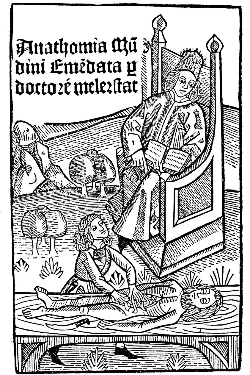 Anatomi gösterisi, 1493 by Unbekannt