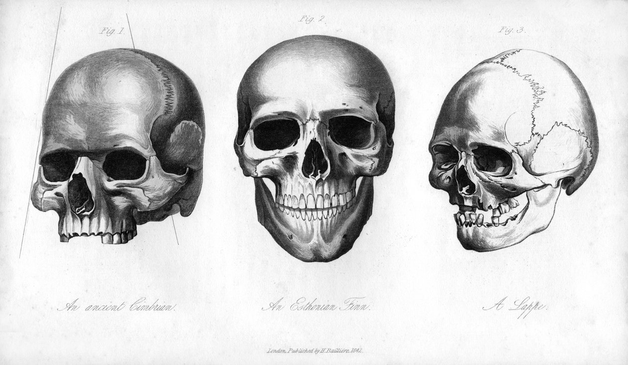 Antik Cimbrian, Esthonian Finn, Lappe, 1848 by Unbekannt