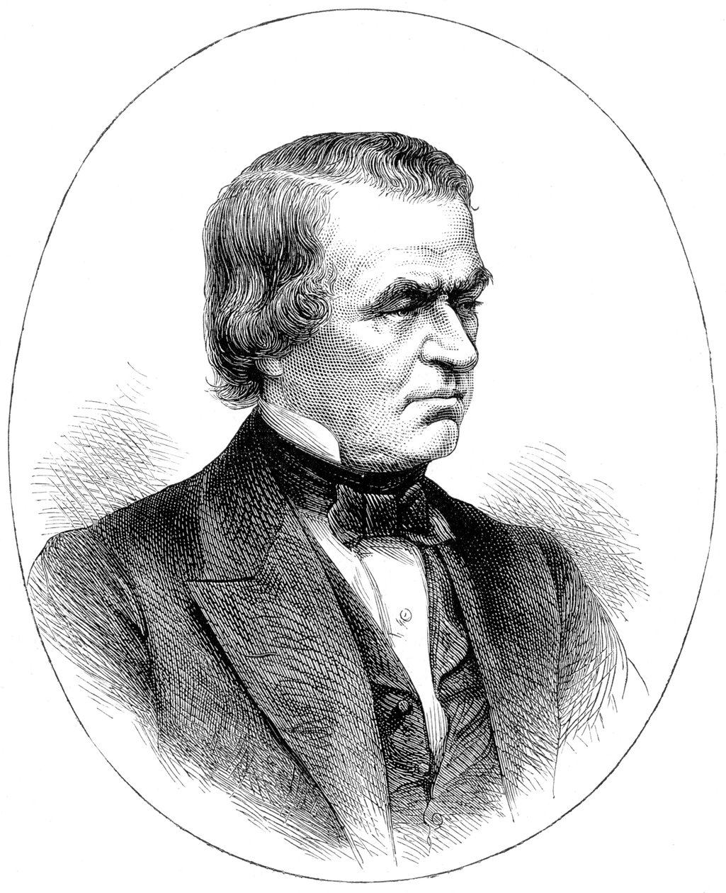 Andrew Johnson, Amerika Birleşik Devletleri