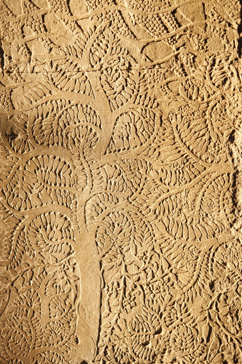 Angkor Wat, WallTree
