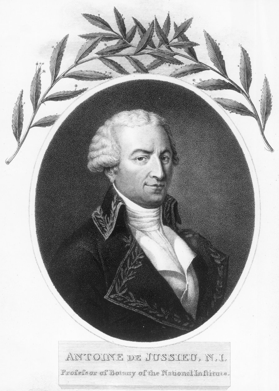Antoine de Jussieu, 18. yüzyıl Fransız botanikçisi, 1807 by Unbekannt