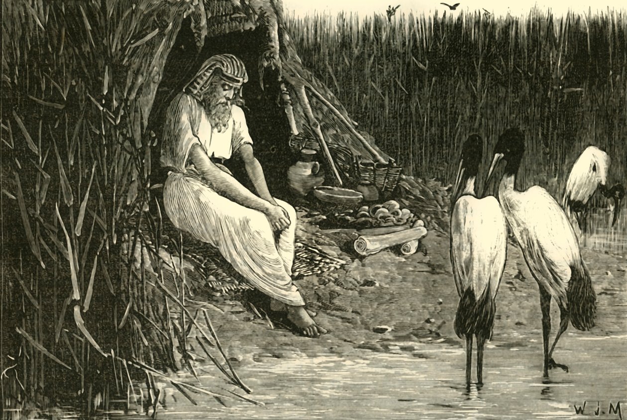 Delta Bataklıklarında Gizlenmiş Anysis, 1890. by Unbekannt