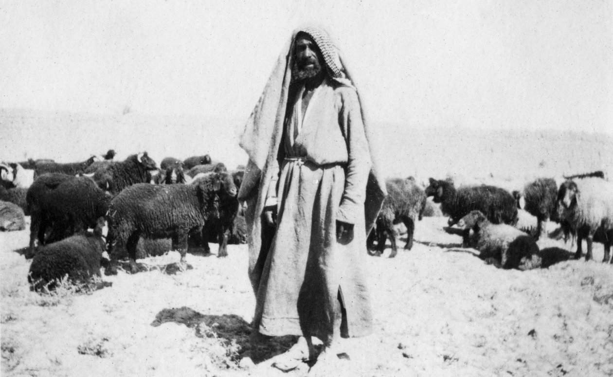 Arap çoban, Kazimain bölgesi, Irak, 1917-1919 by Unbekannt