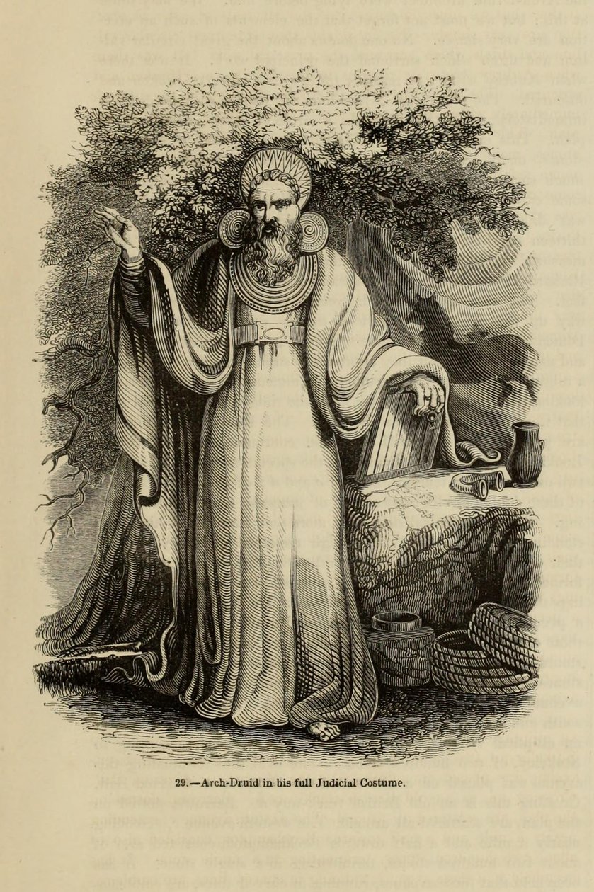 Arch-Druid Adli Kostümüyle Old England: A Picture Museum, 1845 kitabından by Unbekannt