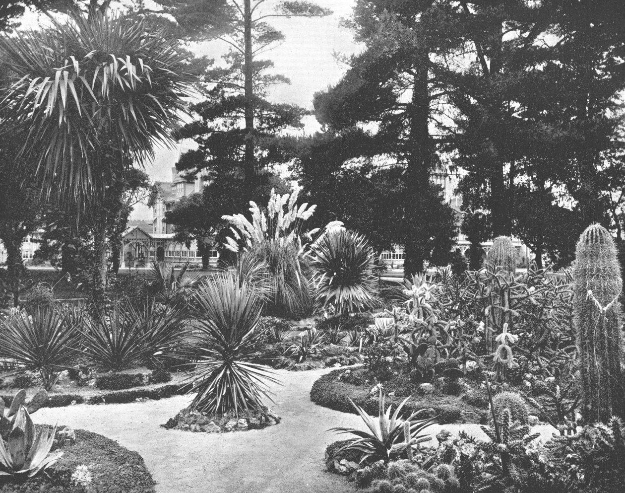Arizona Bahçesi, Monterey, Kaliforniya, ABD, c1900. by Unbekannt