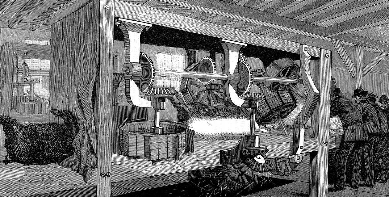 Armor Companys domuz mezbahası, Chicago, Illinois, ABD, 1892 by Unbekannt
