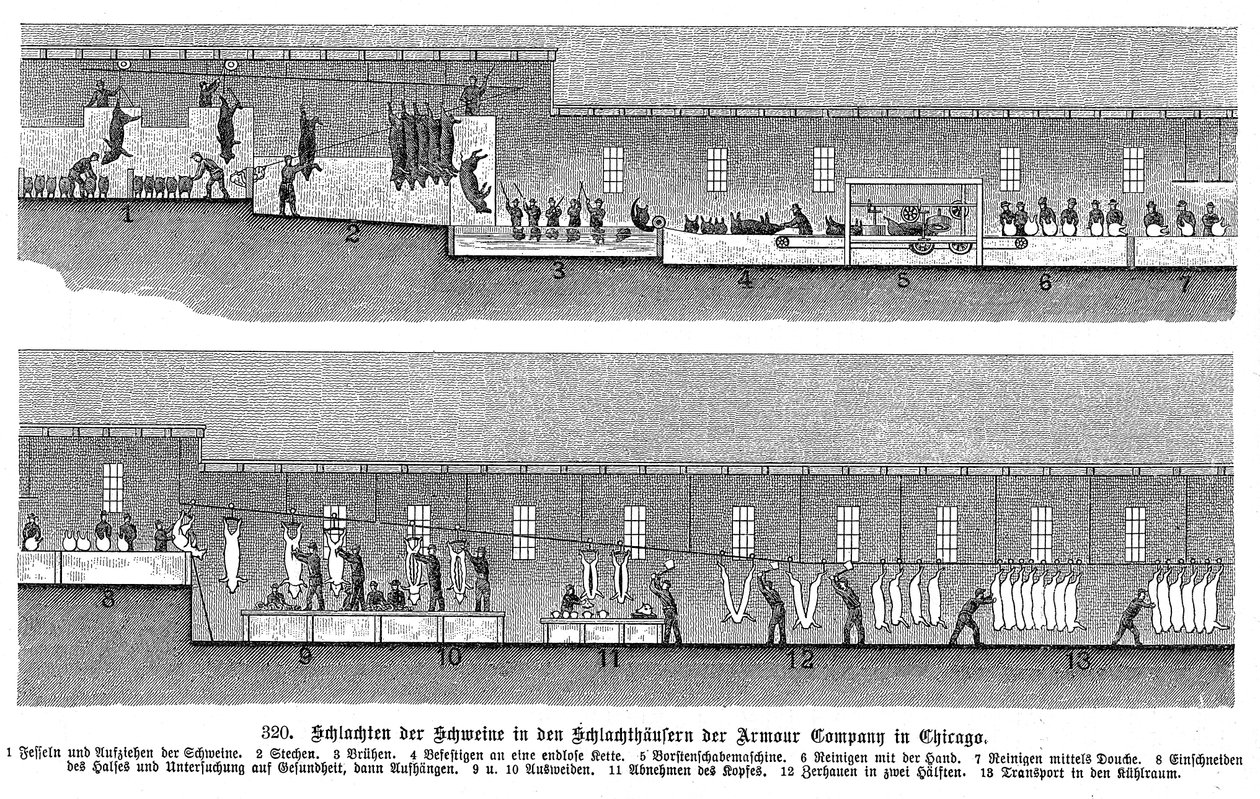 Armor Companys domuz mezbahası, Chicago, Illinois, ABD, 1895 by Unbekannt