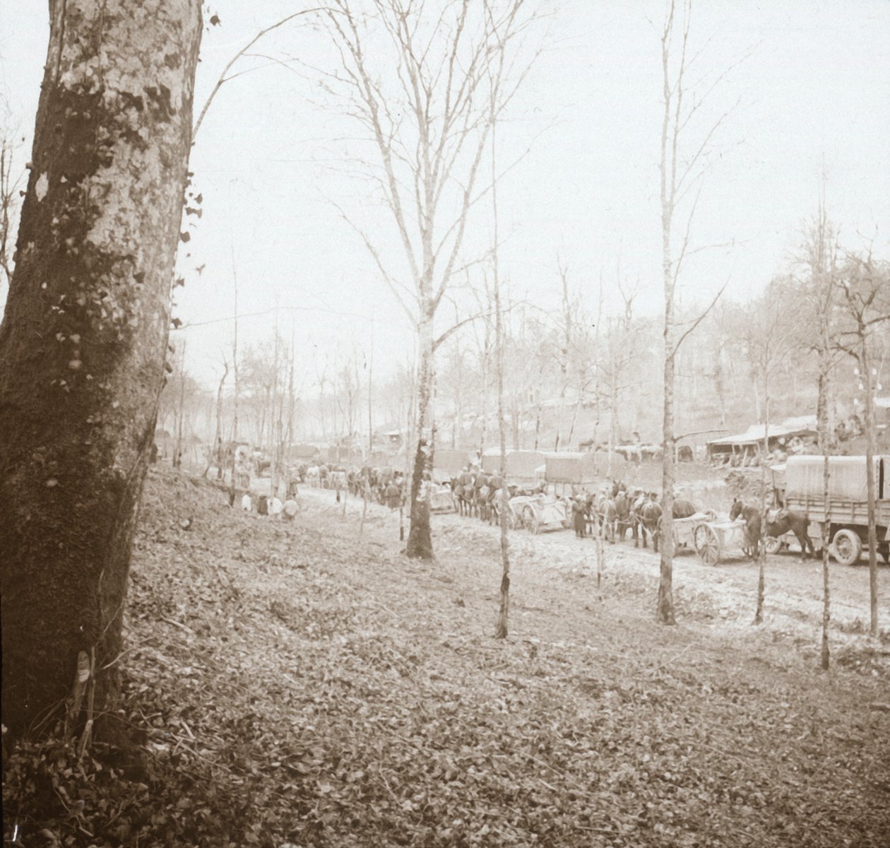 Topçu, Somme, kuzey Fransa, c1914-c1918 by Unbekannt