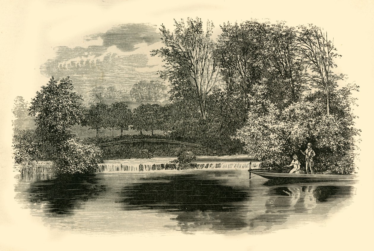 Cleeve