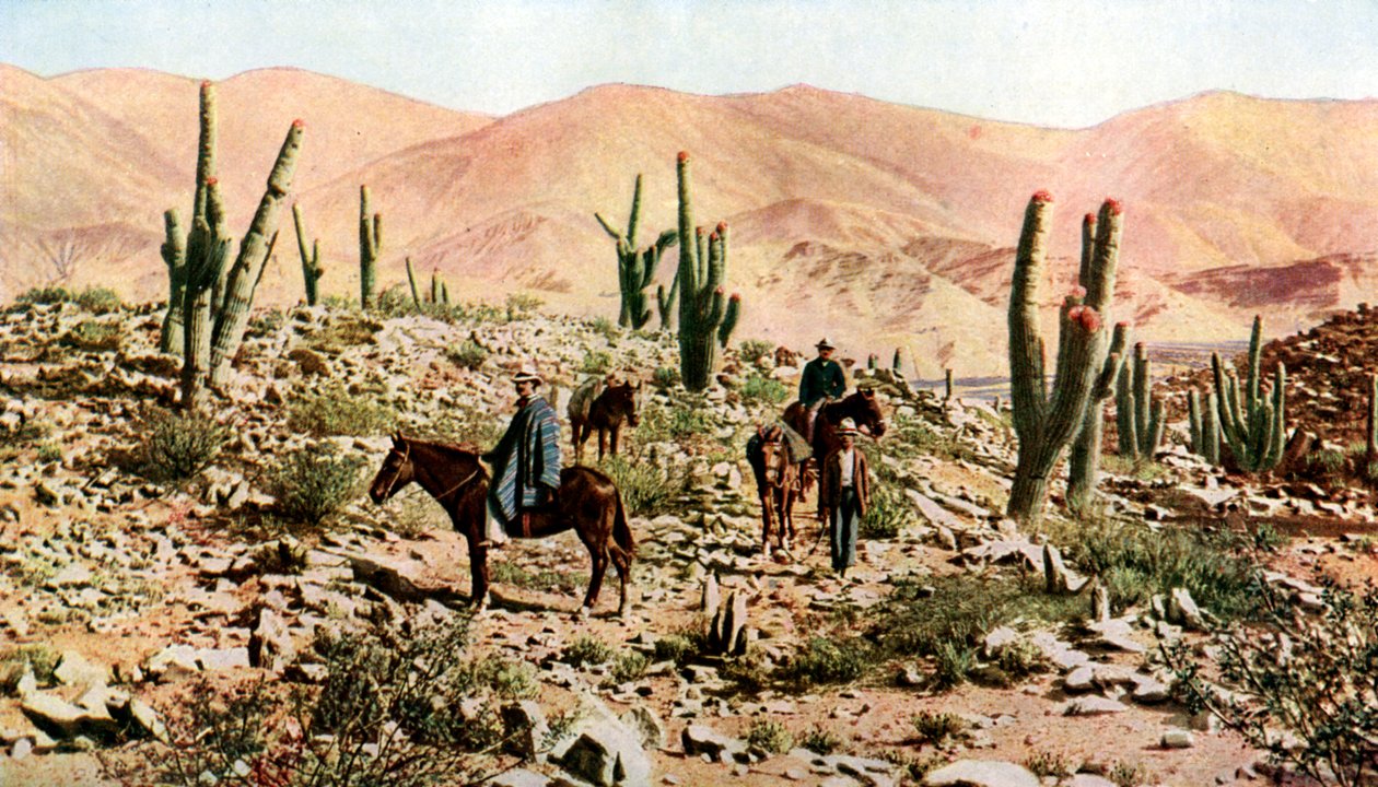 Atacama Çölü, Kuzey Şili, Güney Amerika, c1923 by Unbekannt