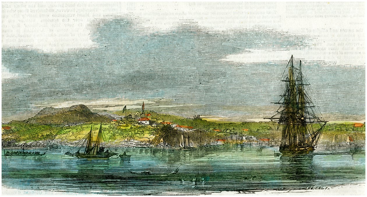 Auckland, Yeni Zelanda, c1880 by Unbekannt