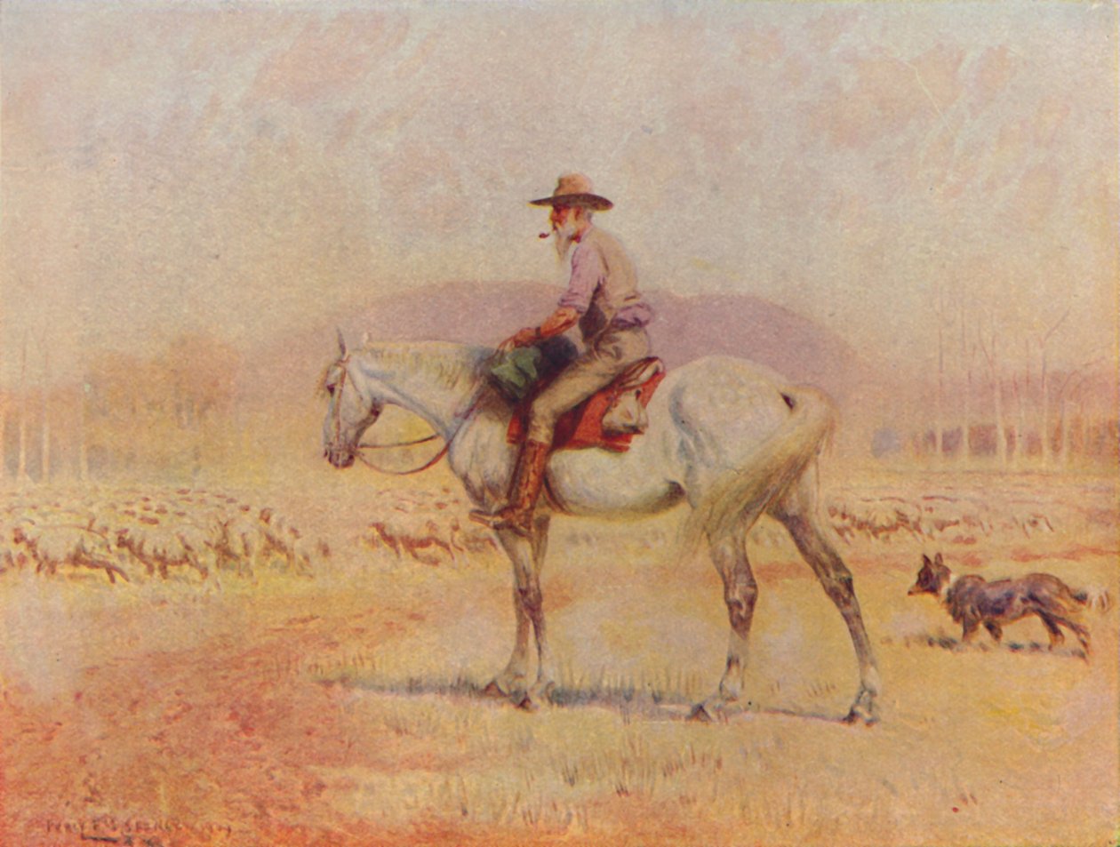 Avustralyalı Koyun Çiftçisi, 1924 by Unbekannt