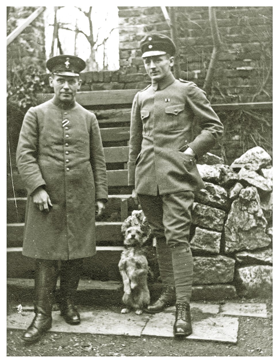 Avusturyalı veya İtalyan askerleri, köpekleri, Şubat 1918 (fotoğraf) by Unbekannt