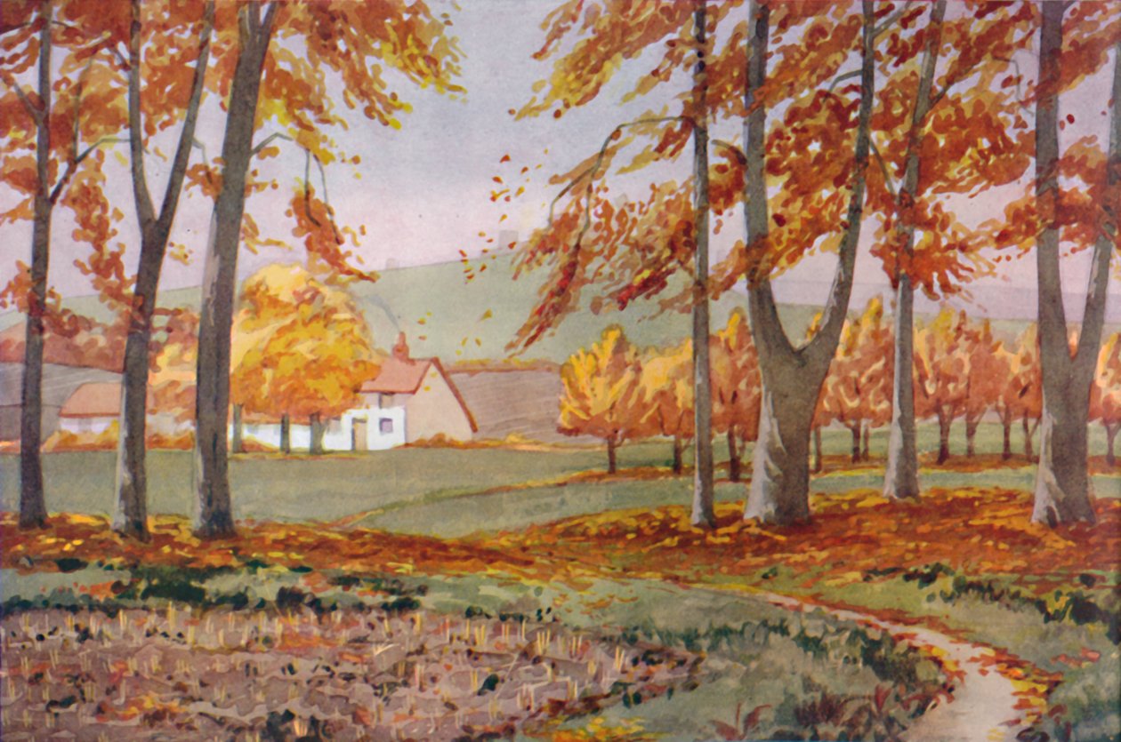 Güz - 1935 Yılı Boyunca Güneşin Yaptığı Fiziksel, Kimyasal ve Biyolojik Değişiklikler by Unbekannt