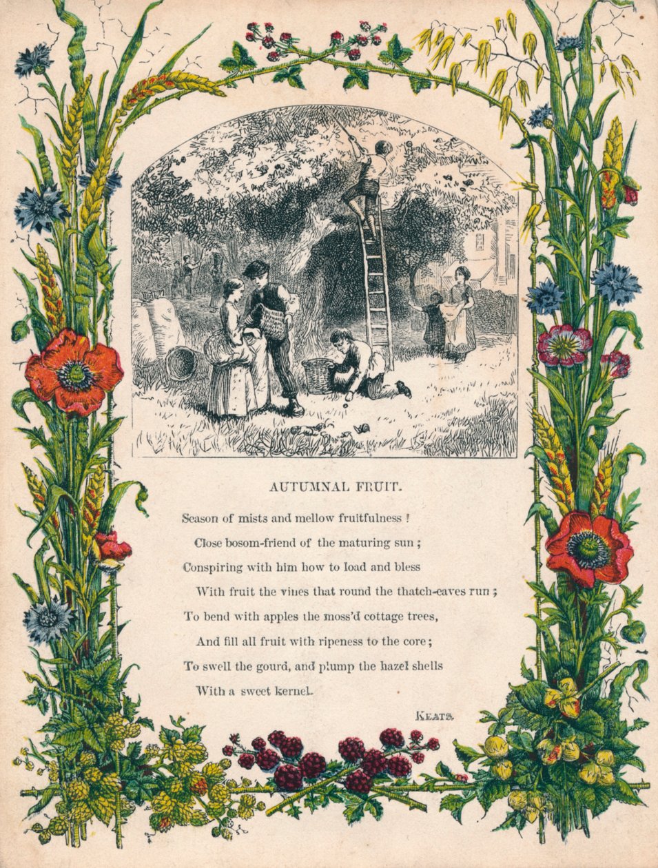 Sonbahar Meyvesi, Keats, c1900 by Unbekannt