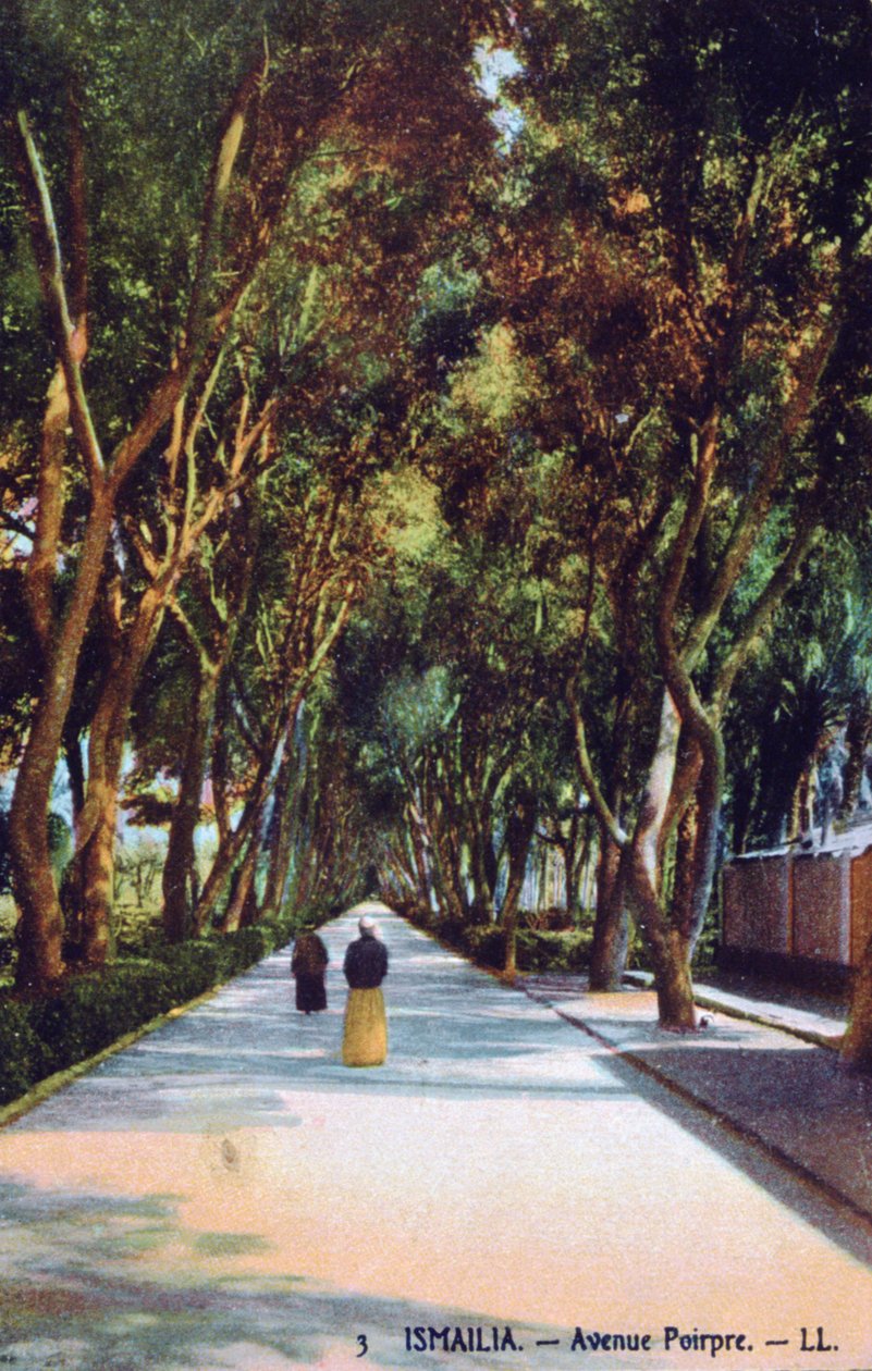 Avenue Poirpre, İsmailiye, Mısır, c1900 by Unbekannt