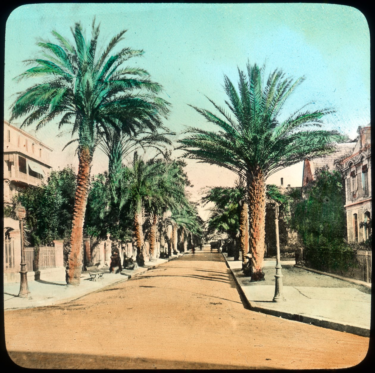 Palms Caddesi, Hyeres, Fransa, 19. yüzyılın sonları veya 20. yüzyılın başlarında by Unbekannt