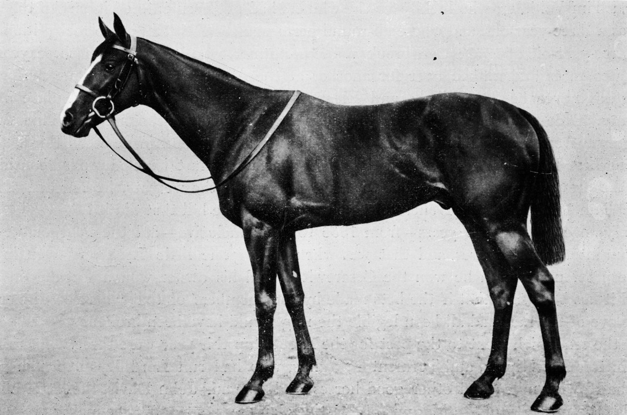 Çift Lisans, 1911 by Unbekannt