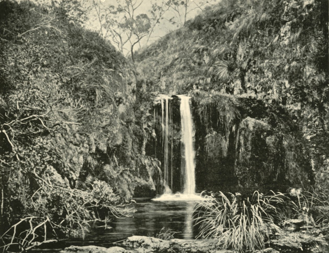 Back Creek Şelaleleri, Buchan Nehri, Victoria, 1901. by Unbekannt