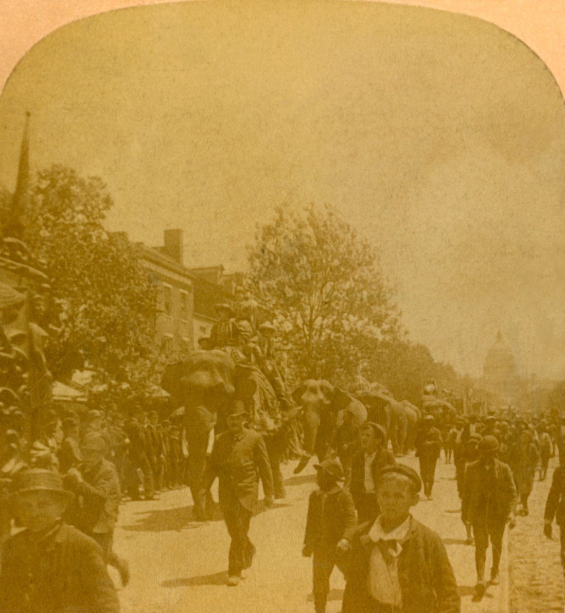Barnums Geçit Töreni, Penn. Ave. Washington D.C., 19. yüzyılın sonu - 20. yüzyılın başı. by Unbekannt