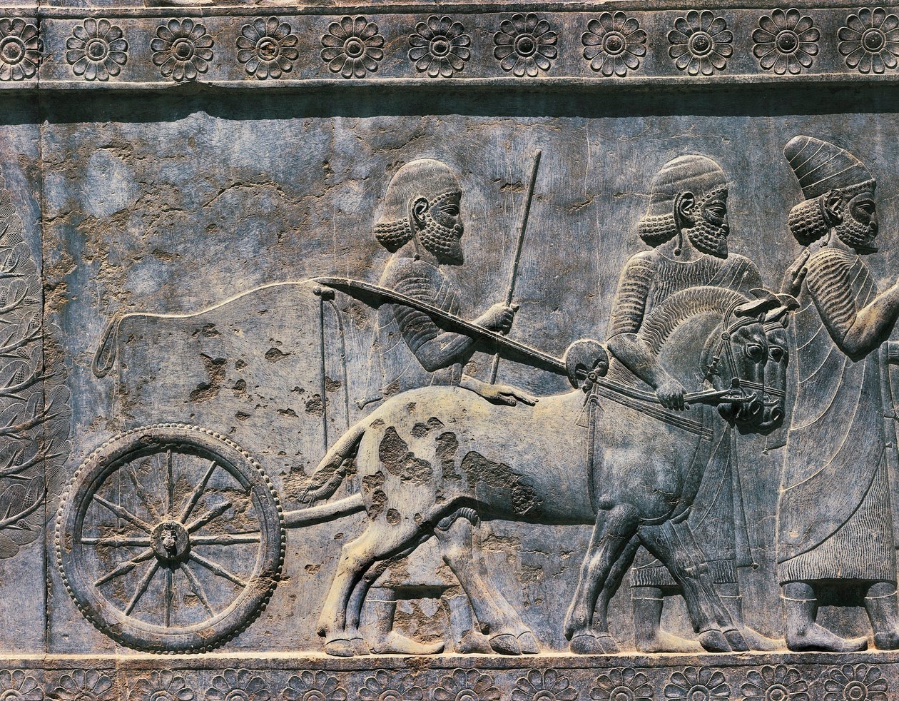 Kısma, Pers sanatı, 6. yüzyıl by Unbekannt