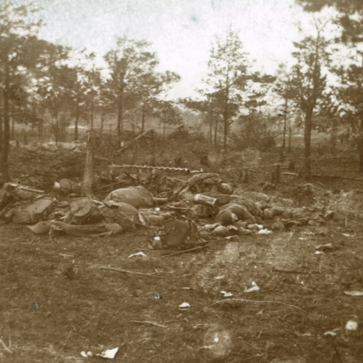 Şampanya Savaşı, Souain, kuzey Fransa, c1915. by Unbekannt
