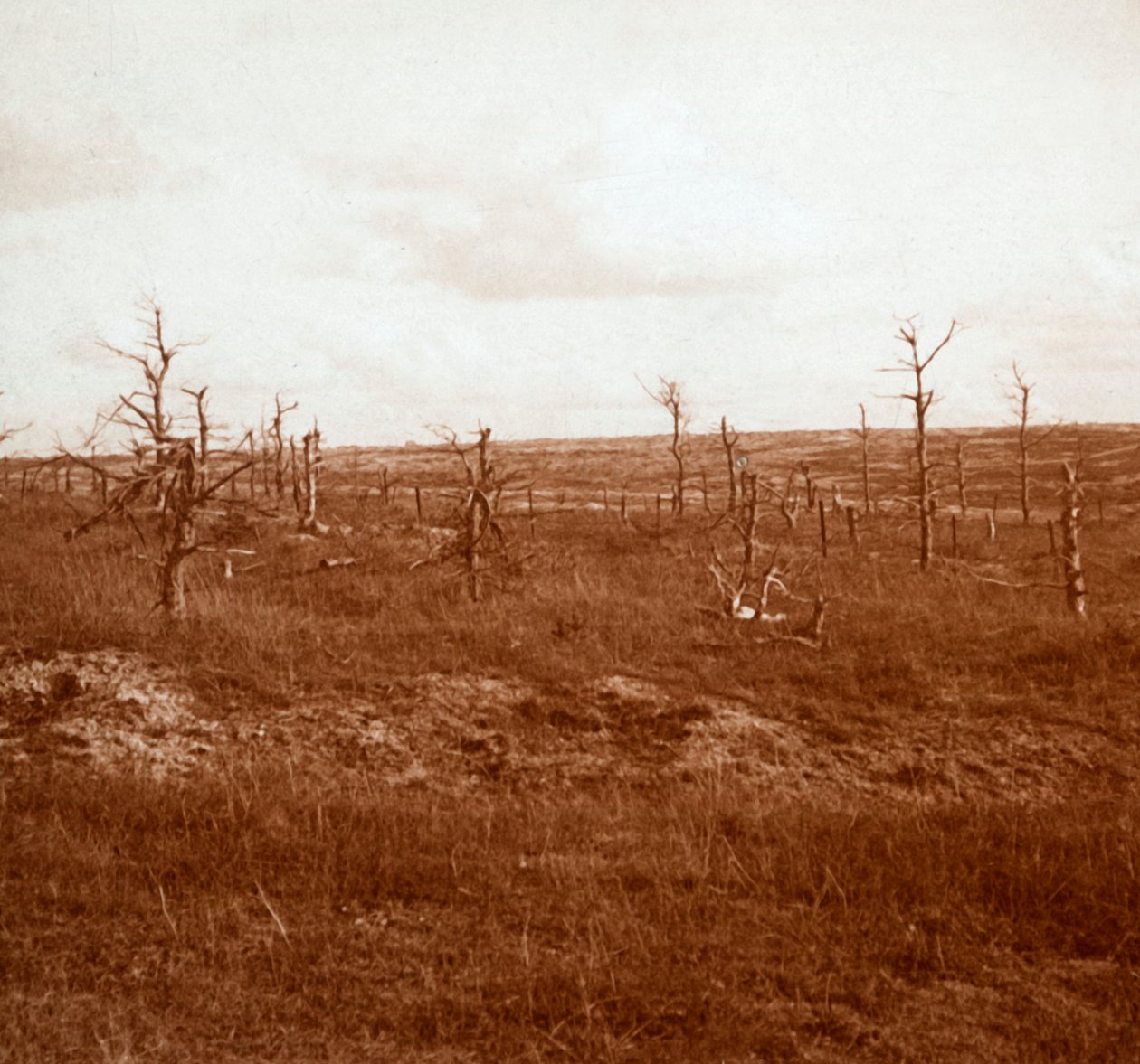 Battlefield, Tahure, kuzey Fransa, c1914-c1918 by Unbekannt