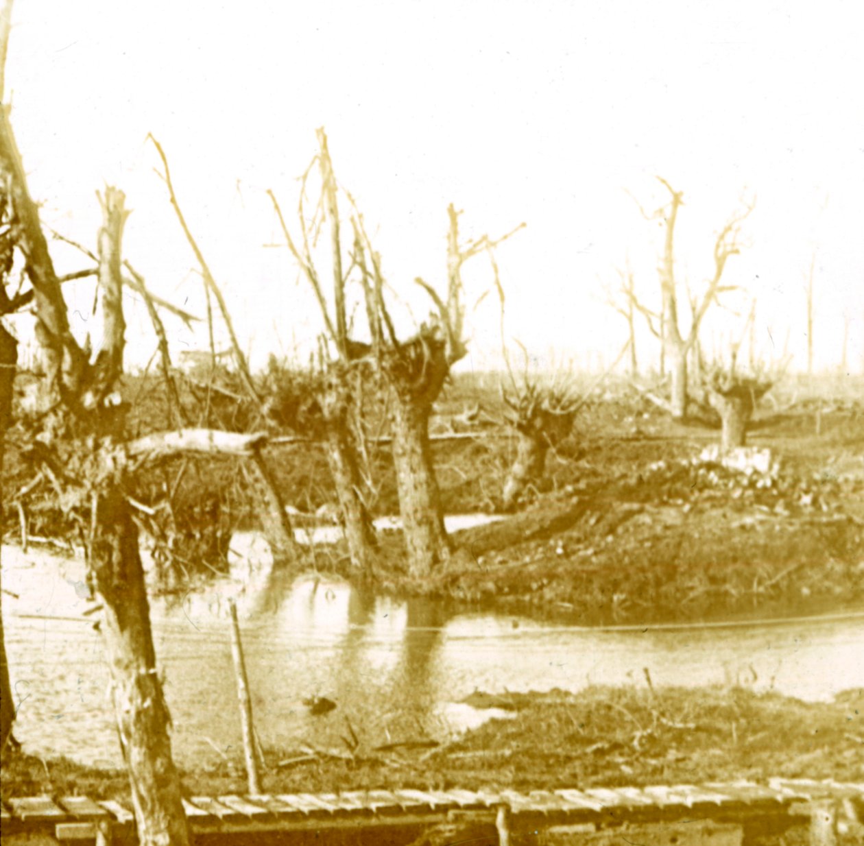 Savaş Alanı, c1914-c1918 by Unbekannt