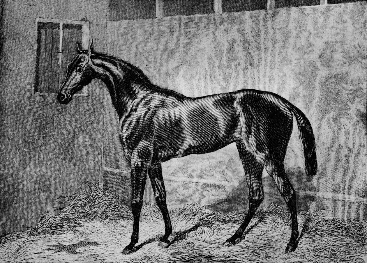 Boncuk ustası, 1855-1872, 1911 by Unbekannt