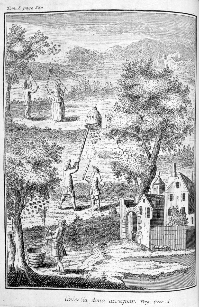 Arıcılık, 1775 by Unbekannt