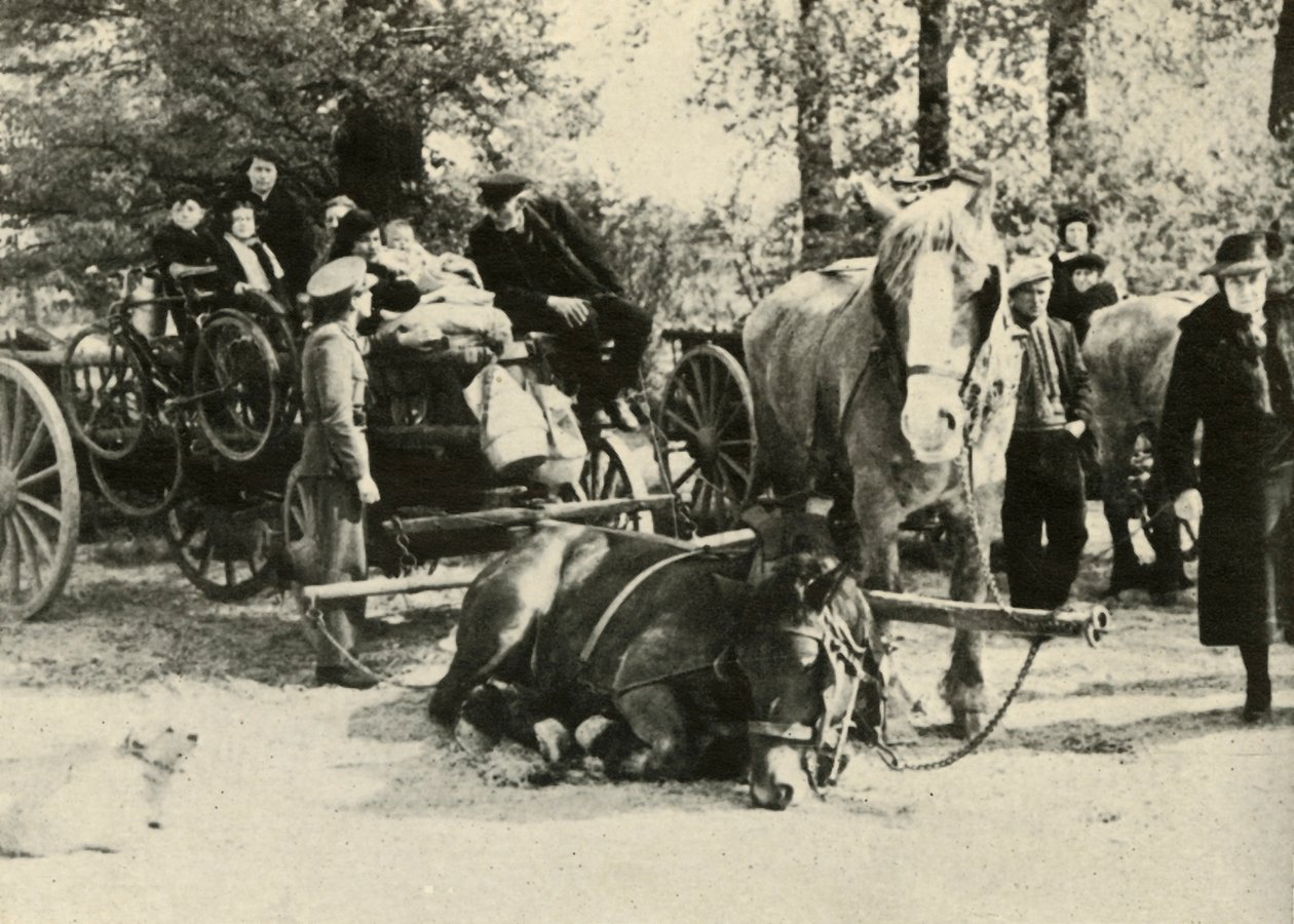 Yoldaki Belçikalı Mülteciler, 1939-1940, 1941. by Unbekannt