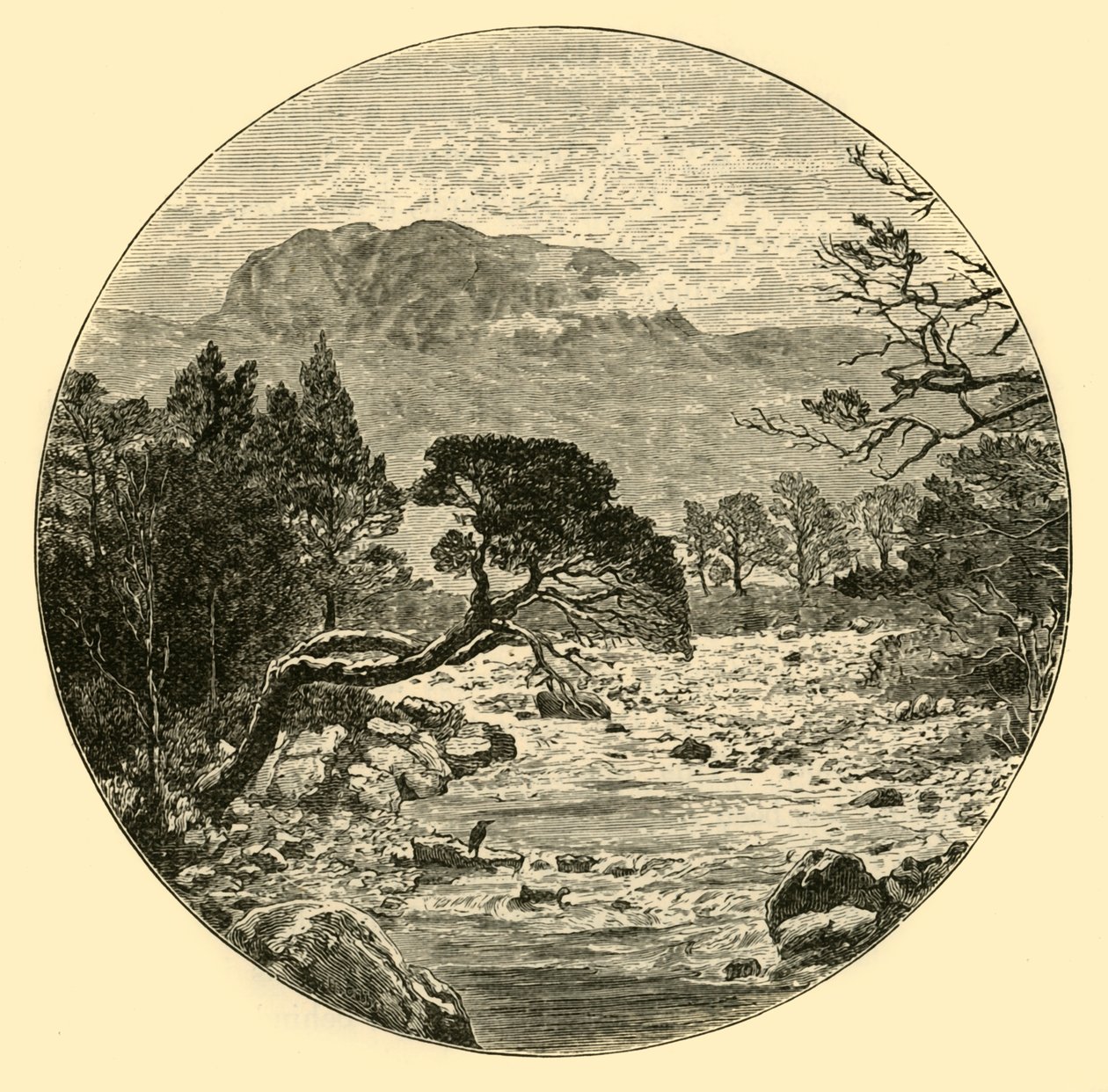 Ben Slioch, 1898. by Unbekannt