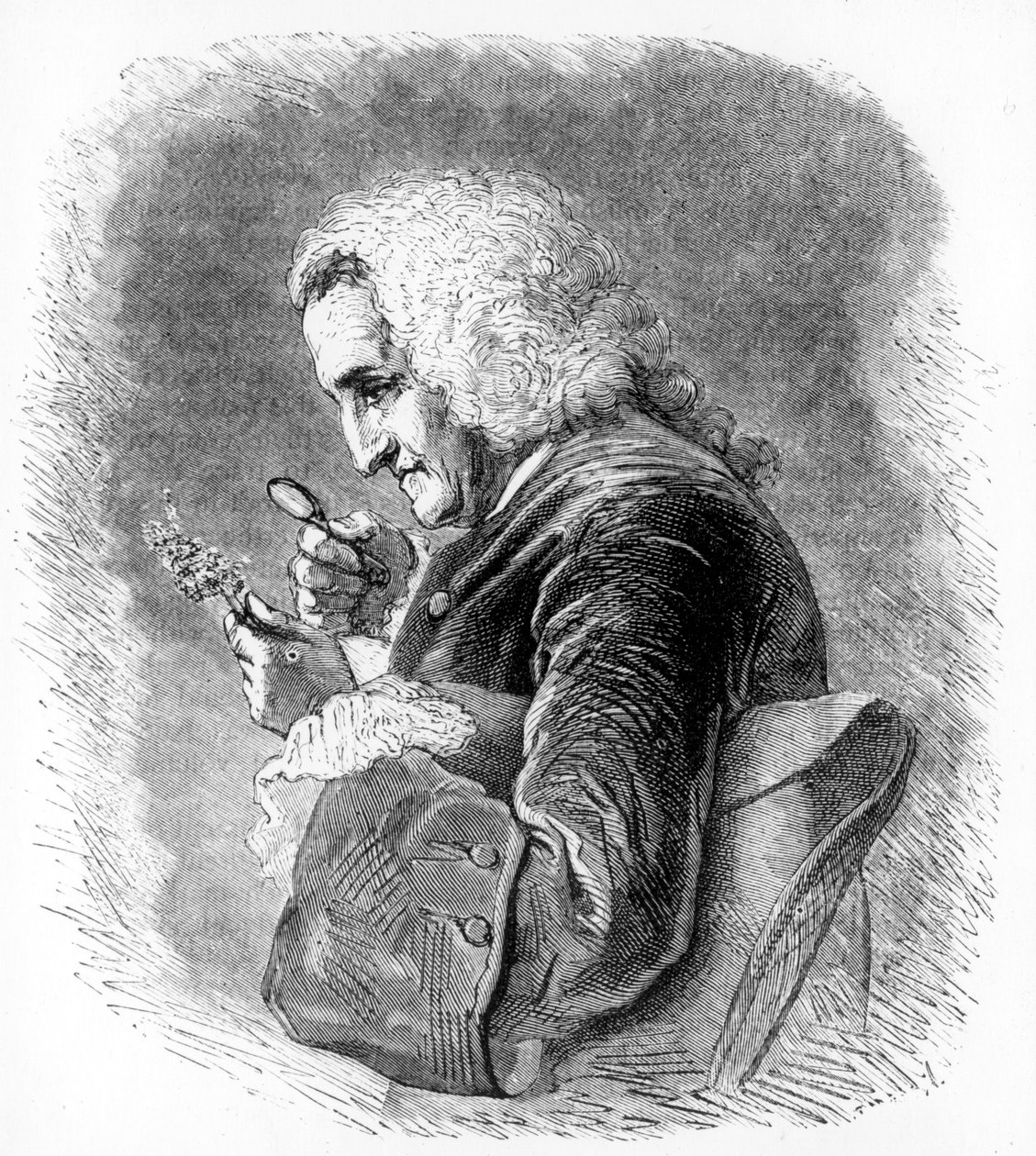 Bernard de Jussieu, 18. yüzyıl Fransız botanikçisi, 1880 by Unbekannt