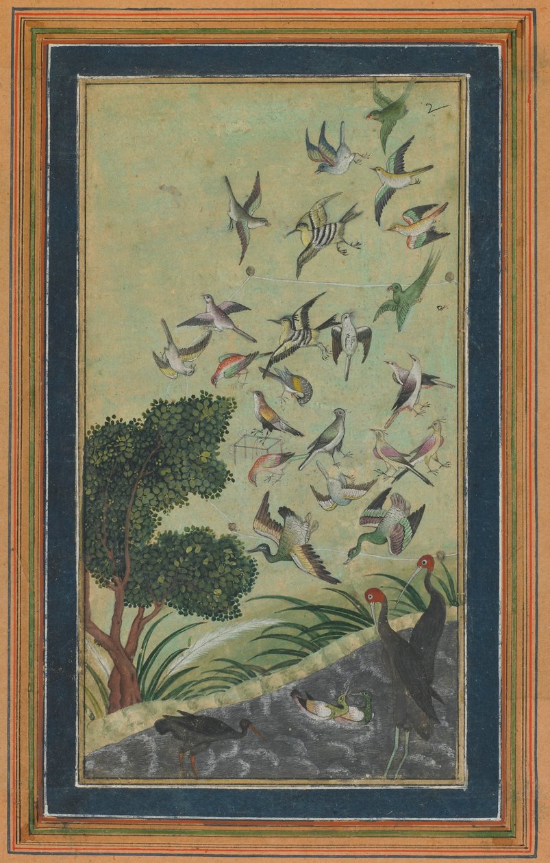 Baran
