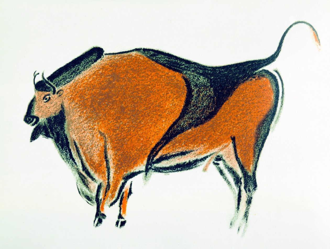 Bison, Kuzey İspanya, Altamira